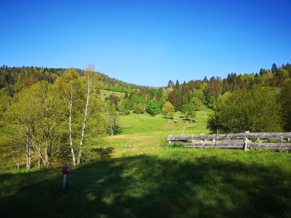 Menzenschwand-Hinterdorf B4 Albmatte 아파트 외부 사진
