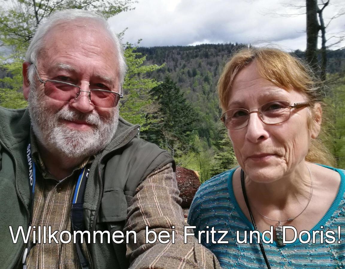 Menzenschwand-Hinterdorf B4 Albmatte 아파트 외부 사진