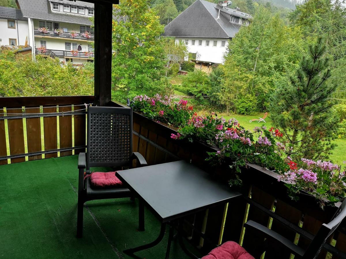 Menzenschwand-Hinterdorf B4 Albmatte 아파트 외부 사진