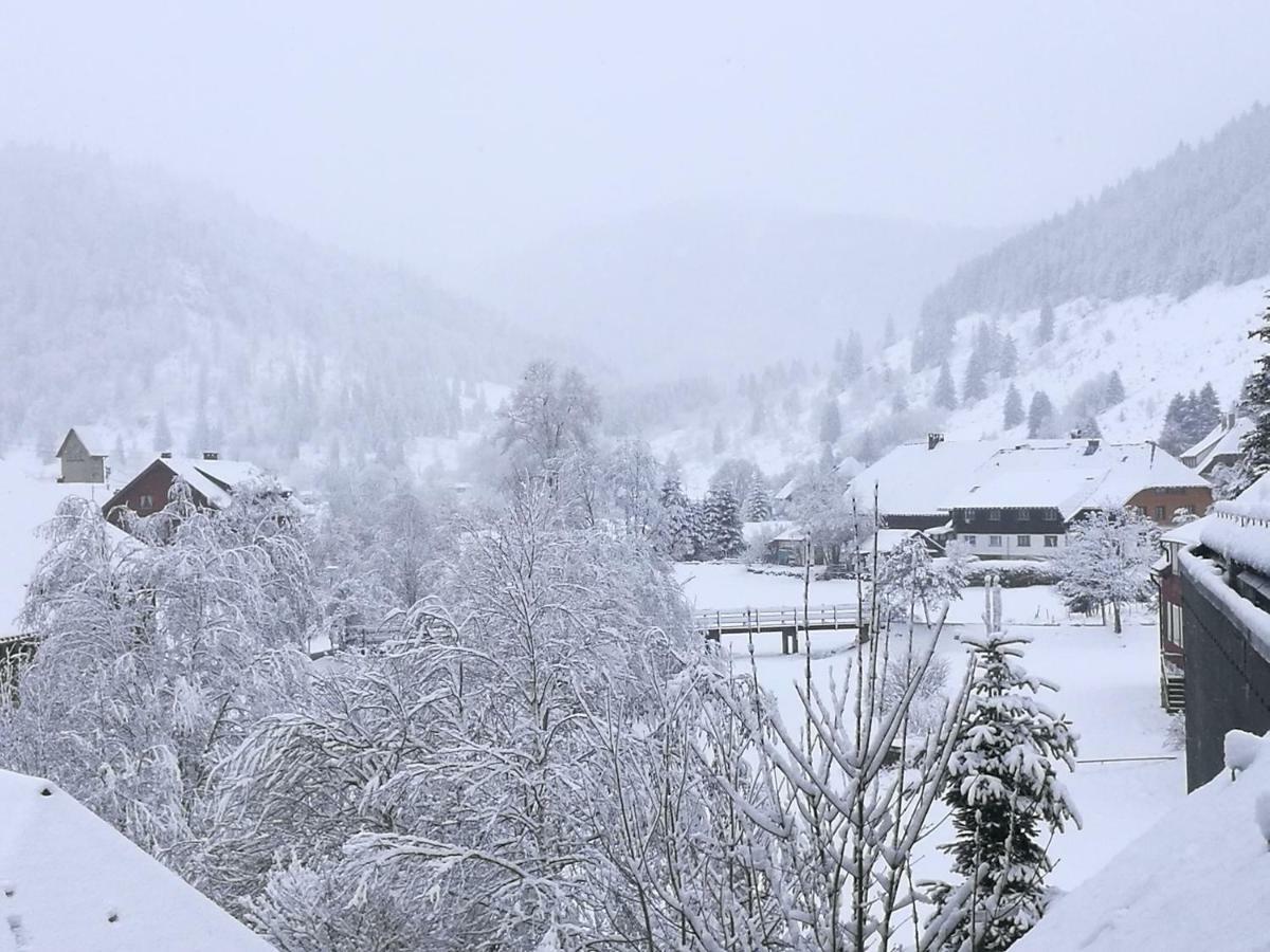 Menzenschwand-Hinterdorf B4 Albmatte 아파트 외부 사진