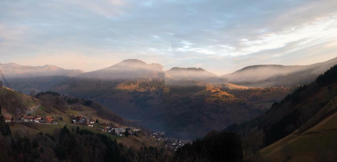 Menzenschwand-Hinterdorf B4 Albmatte 아파트 외부 사진