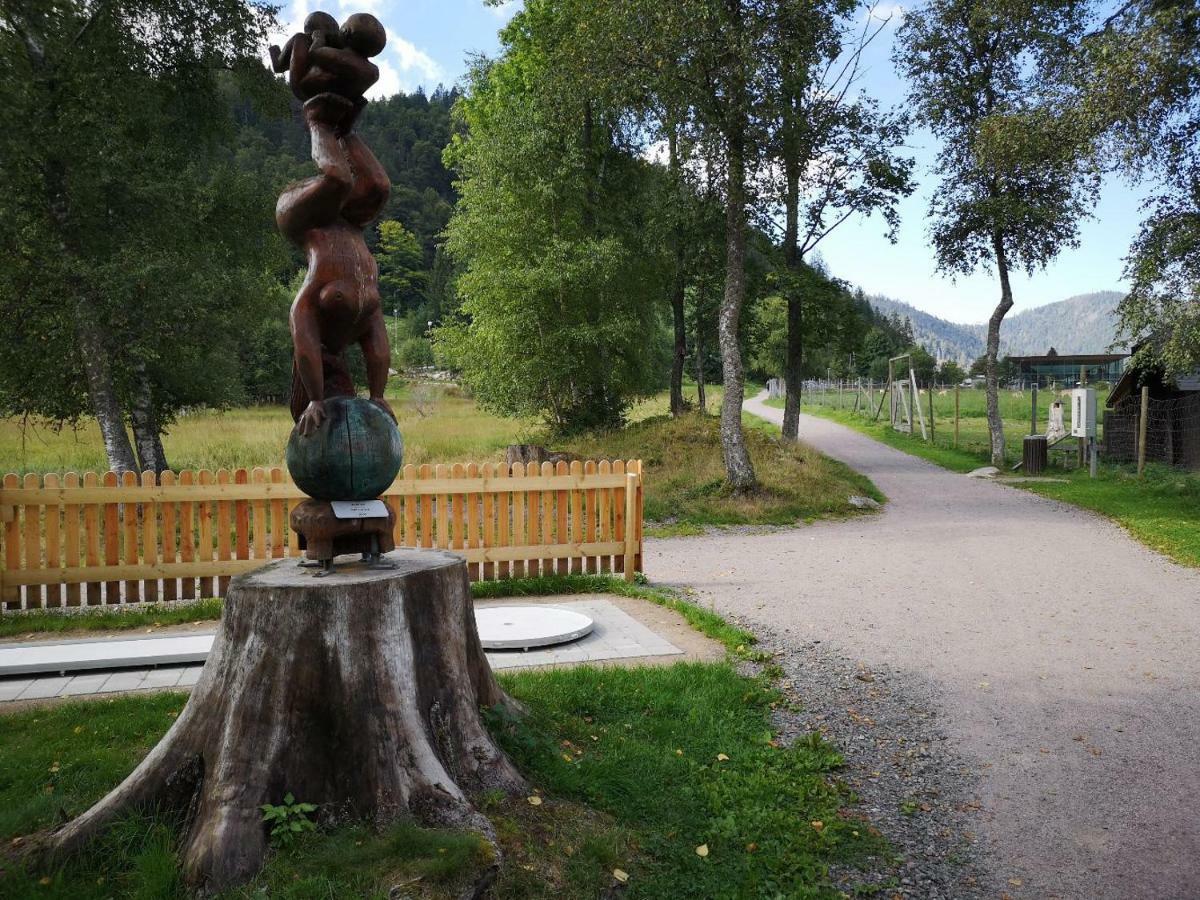 Menzenschwand-Hinterdorf B4 Albmatte 아파트 외부 사진